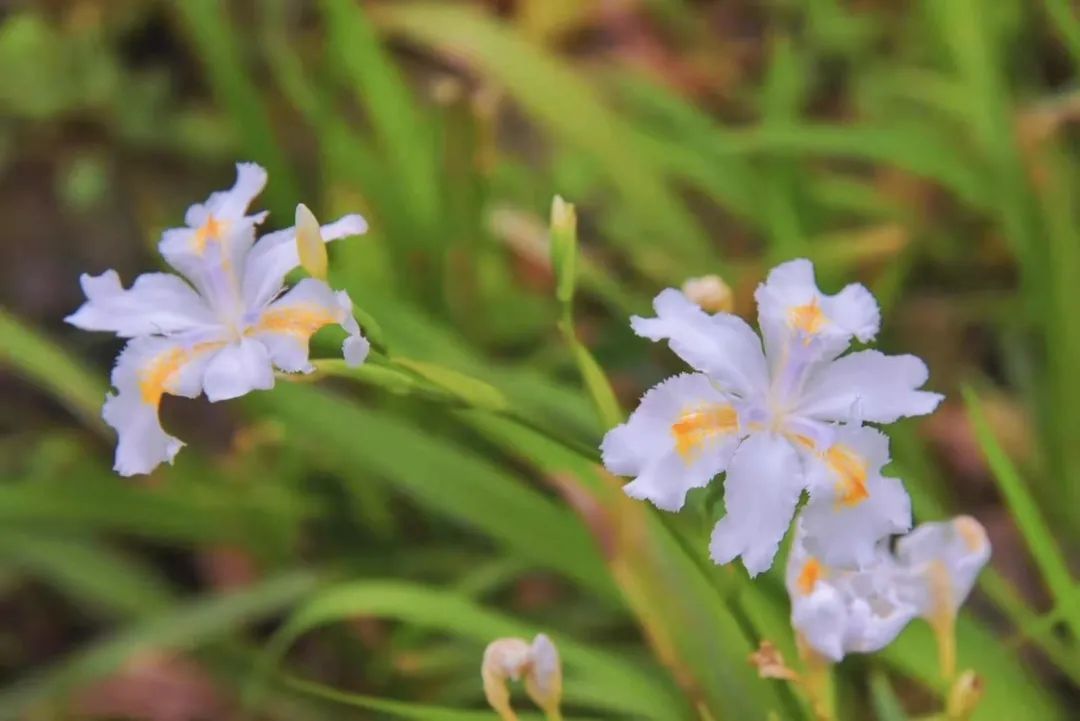 beats365(中国区)-唯一官方网站