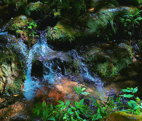 beats365(中国区)-唯一官方网站